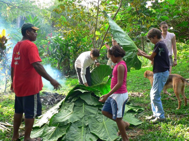 76- Preparation du lovo, couche de feuilles de taro 